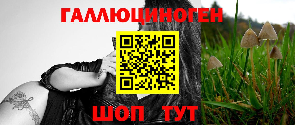 что такое наркотик  Вход с VPN  Учалы  Псилоцибиновые грибы Magic Shrooms 